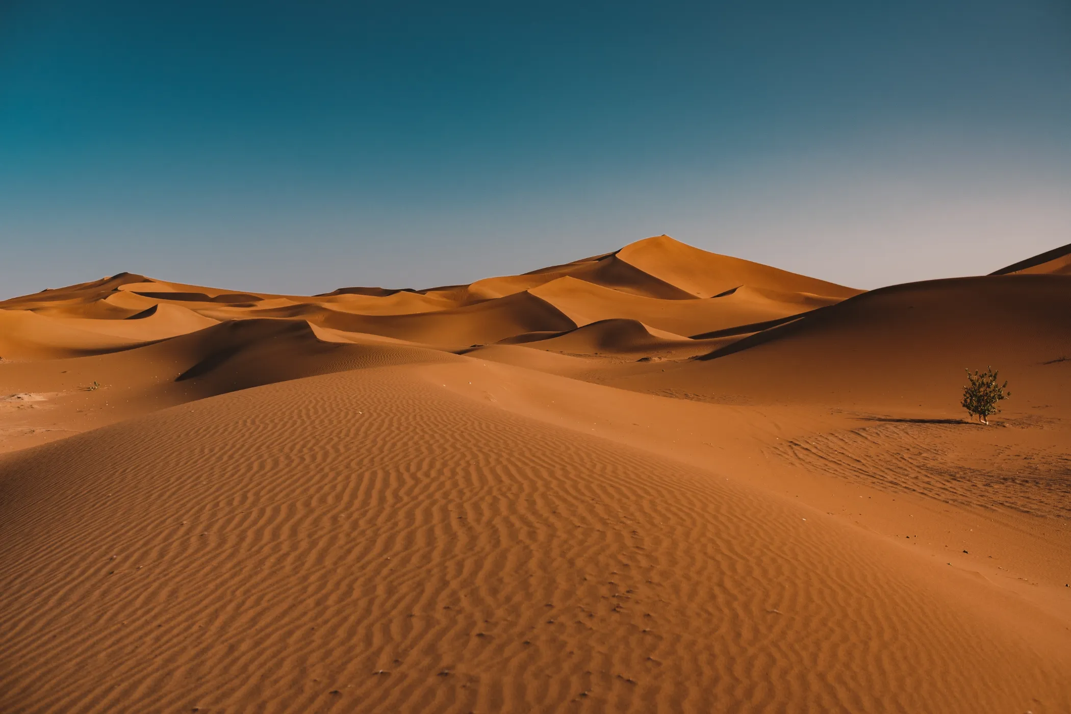 beautiful-desert